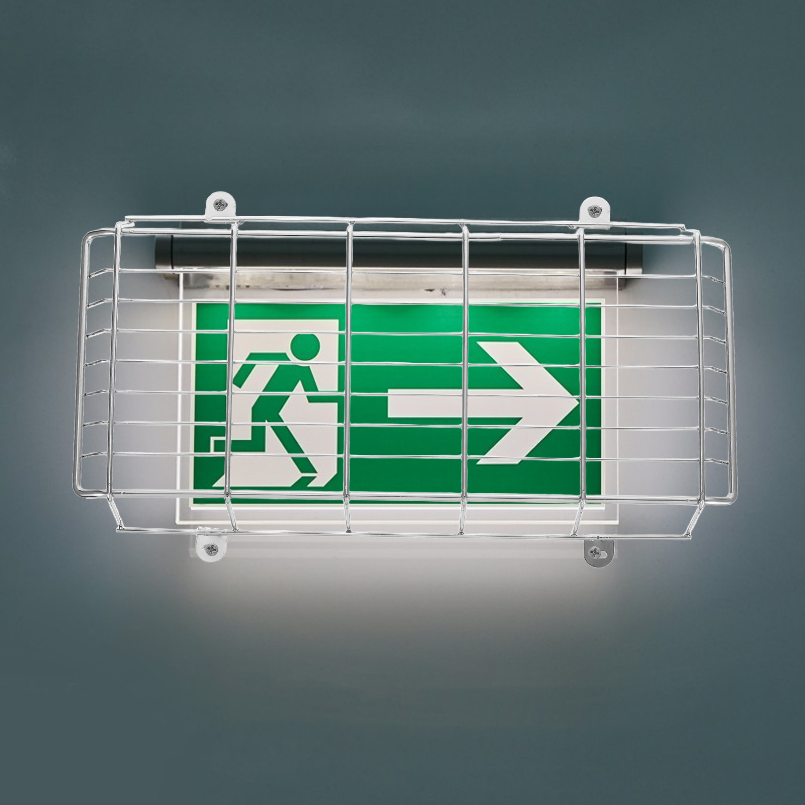 1個入り、壁掛け式非常口表示板、学校用安全ワイヤー保護具、非 - Emergency Exit Sign のレビューと価格